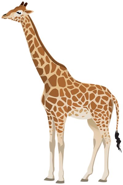 Giraffe Facts, Giraffe Clipart, Giraffe Drawing, Giraffe Pictures, Giraffe Illustration, Cartoon Giraffe, Animal Illustration Art, Giraffe Art, Animal Print Wallpaper