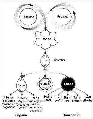 Metaphysics in Samkhya Philosophy Ayurveda Hair Care, Yoga Sutra, Kundalini Meditation, Yoga Information, Yoga Kundalini, Indian Philosophy, Ayurveda Yoga, Ayurvedic Healing, Sacred Science