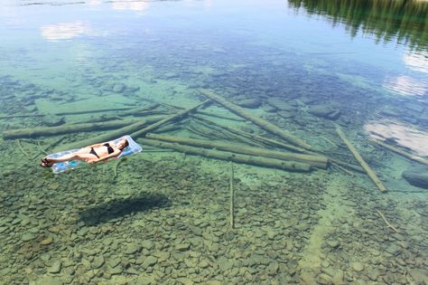 Transparent water at flathead lake, montana Flathead Lake Montana, Lake Montana, Visit Montana, Lake Monsters, European City Breaks, Flathead Lake, Kodak Moment, Clear Lake, Lake Superior