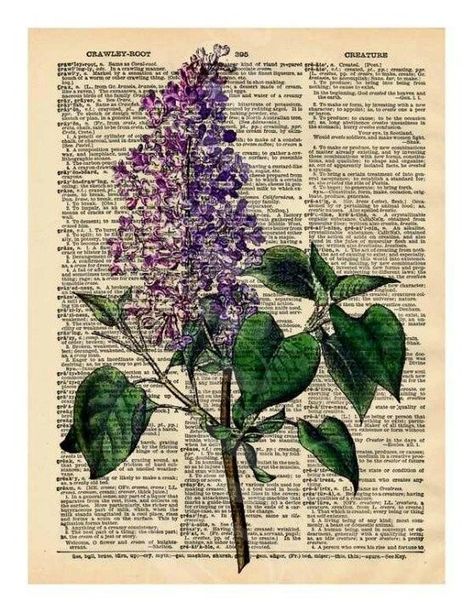 Collage Wall Vintage, Aesthetic Dictionary, Wall Picture Collage, Vintage Lilac, Collage Wall Art, Arte Indie, Newspaper Art, Arte Peculiar, Book Page Art