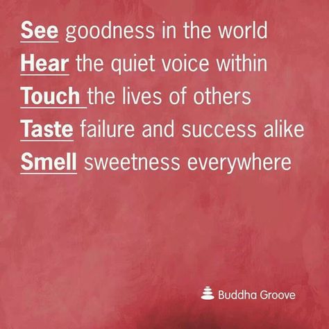 5 senses Buddha Groove, 5 Senses, Live In The Present, The Lives Of Others, Quotes And Notes, Jersey City, Spiritual Journey, Success Stories, Thoughts Quotes