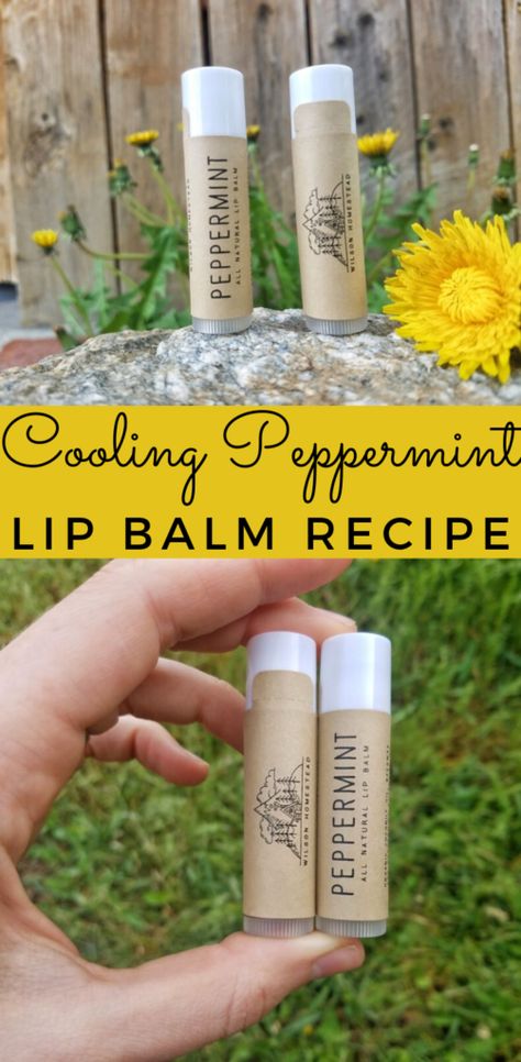 Goats Milk Chapstick Recipe, Goat Milk Lip Balm, Goat Milk Chapstick Recipe, Goat Milk Lip Balm Recipe, Lipbalm Diy Recipes, Peppermint Lip Balm Recipe, Beeswax Lip Balm Recipe, Diy Peppermint Lip Balm, Chapstick Recipe