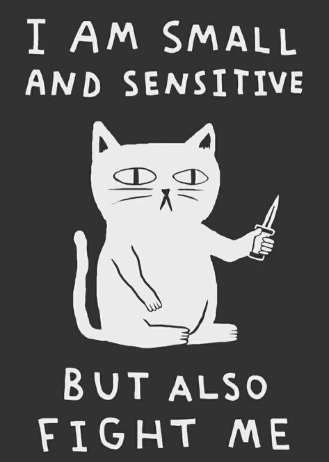 Memes Humor, E Card, Crazy Cat Lady, 귀여운 동물, Crazy Cats, The Words, Mood Pics, Funny Cute, Cat Memes