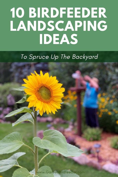 birdfeeder landscaping ideas - with sunflower and man filling the feeder in background Bird Feeder Landscaping, Bird Feeder Station, Bird Feeder Stands, Bird Feeder Craft, Bird Feeding Station, Diy Bird Feeder, Diy Birds, Bird Crafts, Home Landscaping