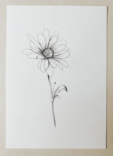 Daisy - April birth flower Croquis, Small Daisy Tattoo, Daisy Flower Drawing, Daisy Tattoo Designs, Daisy Drawing, Daisy Flower Tattoos, April Birth Flower, Bouquet Tattoo, April Flowers