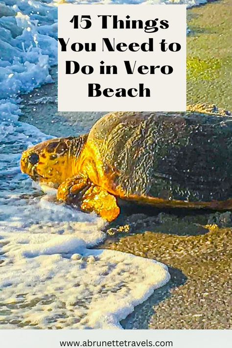 Things To Do In Vero Beach Fl, Vero Beach Florida Things To Do In, Beach Trip Tips, Things To Do Inside, Beach 2024, Juno Beach, Vero Beach Florida, Vero Beach Fl, Treasure Coast