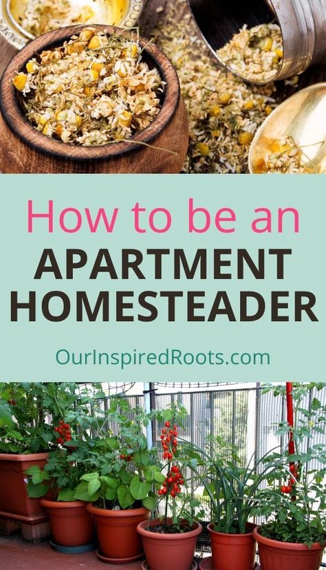 Permaculture, Homesteading Apartment, Homestead Apartment, Apartment Homesteading, Homesteading Diy Projects, Modern Homestead, Urban Homestead, Healty Dinner, Modern Homesteading