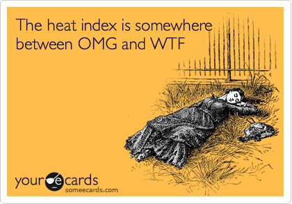 Funny Cry for Help Ecard: The heat index is somewhere between OMG and WTF. Humour, Hot Weather Humor, What I Like About You, Heat Index, Outlander Jamie, Sound Of Rain, Clipuri Video, Outlander Series, E Card