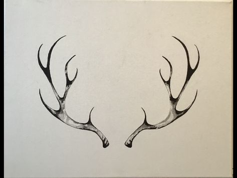 Dear Horn Tattoo, Deer Antler Tattoo Design, Deer Antler Sketch, Antler Arm Tattoo, Stag Antlers Tattoo, Antlers Tattoos For Women, Minimalist Antler Tattoo, Dear Antlers Drawing, Small Elk Tattoo