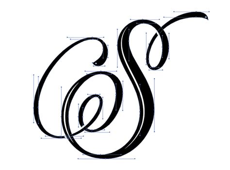 Letter S script lettering bezier curves by Vini Vieira S Calligraphy Letter Capital, S Script Letter, Letter S In Different Fonts, S Letter Drawing Art, S Cursive Letter, Letter S Cursive, S Letter Calligraphy, S In Calligraphy, S In Different Fonts