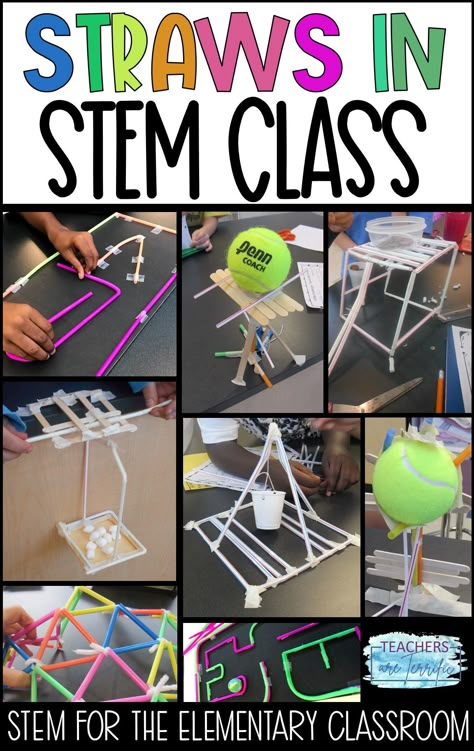 Straw Building, Stem Classes, Stem Resources, Engineering Activities, Stem Teacher, Egg Container, Egg Drop, Steam Activities, Science Ideas