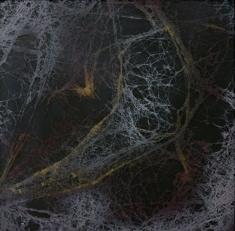 The picture is made of spider web Andranik Avetisyan Ado Spider web Velvet powder Paint Glass 16" x 14”x 1" (39 cm x 36 cm x 2cm)  2015 https://vimeo.com/165054165 Spider Abstract Art, Spider Web Art, Spider Pictures, Real Spiders, Modern Art Painting, Spider Art, Powder Paint, Painting Pictures, I Am An Artist