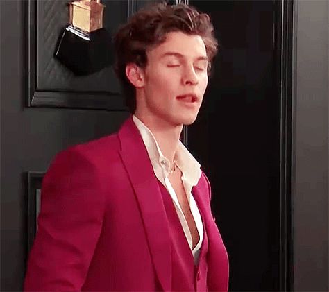 Shawn Mendes Gif, Grammys 2020, Gossip Girl Fashion Blair, Shawn Mendes Memes, Jack Gilinsky, Matthew Espinosa, Magcon Boys, Jack Johnson, Reaction Gifs