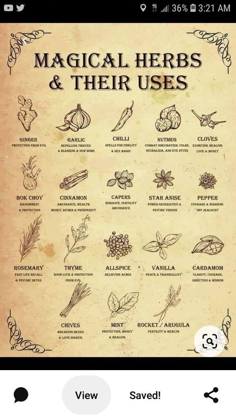 Prince Stolas, Witch Herbs, Magia Das Ervas, Grimoire Book, Magic Spell Book, Magic Herbs, Witch Spirituality, Magical Herbs, Wiccan Spell Book