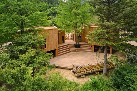 Classroom Architecture, Forest Classroom, Outdoor Learning Spaces, Learning And Growing, Forest Camp, Urban Forest, Outdoor Education, Children's Garden, Children Learning