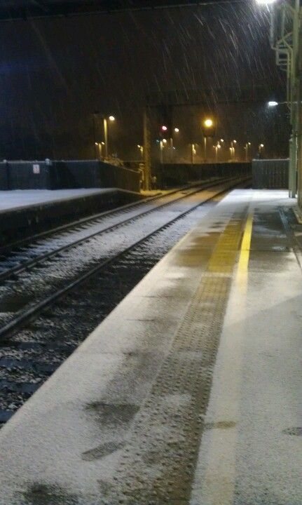 Snowy Train Station, Abandoned Train Station, Abandoned Train, Snowy Trees, Train Depot, Interesting Images, Train Station, Country Roads, Trees