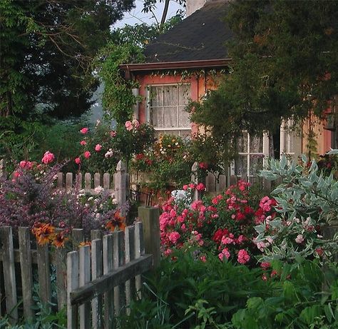 Flower Carpet, Cottage Aesthetic, Alpine Plants, English Cottage Garden, Garden Types, Dream Cottage, Cottage Core Aesthetic, Old Farmhouse, Picket Fence