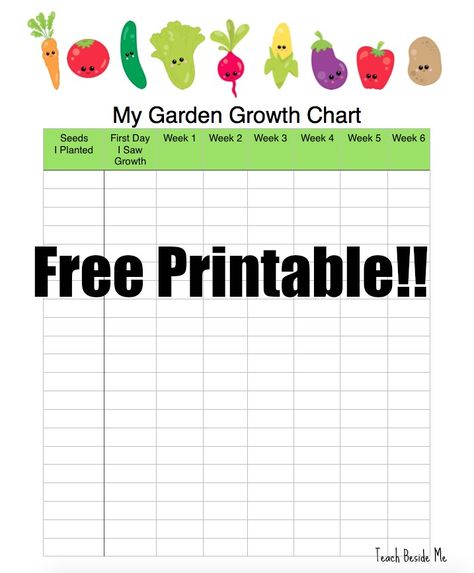 FREE My Garden Growth Printable Chart Plant Growth Chart, Companion Planting Chart, How Plants Grow, Plant A Garden, Plant Journal, Printable Chart, Chart Template, Free Homeschool, Charts For Kids