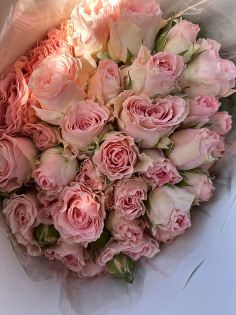 Pink, baby roses, roses, aesthetically pleasing, aesthetics, aesthetic Pale Pink Roses Aesthetic, Baby Pink Aesthetic Vintage, Pastel Pink Roses Aesthetic, Juliet Rose Aesthetic, Rose Pale Aesthetic, Baby Pink Asthetics, Pale Pink Aesthetic, Pink Roses Aesthetic, Ashy Pink