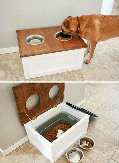 Thunder Buddy, Dog Food Station, Kat Diy, Koti Diy, Dog Feeding Station, Diy Home Decor For Apartments, Diy Dog Food, Pet Things, House Organization