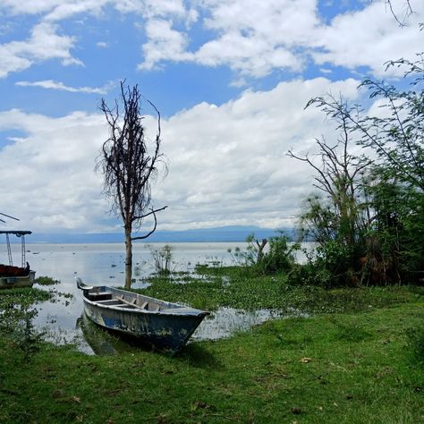 #Kenya  #Naivasha #Lake #boat Lake Baringo Kenya, Lake Boat, Kenya, Outdoor Furniture, Lake, Natural Landmarks, Outdoor Decor, Travel, Quick Saves