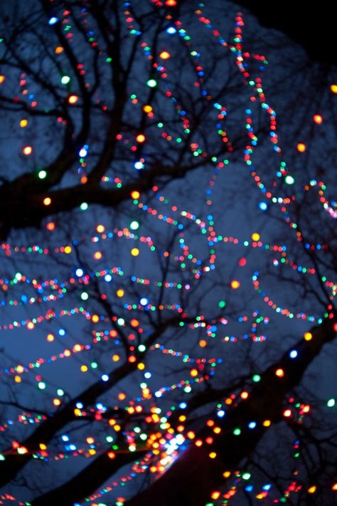 Christmas Lights Wallpaper, Lights Wallpaper, Colorful Lights, Christmas Feeling, Arte Inspo, Christmas Mood, Pics Art, Christmas Aesthetic, Christmas Wallpaper