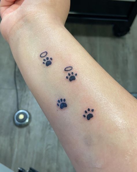 Dog Paw Print With Name Tattoo, Memorial Dog Paw Print Tattoo, Paw With Halo Tattoo, Tattoo Ideas For Lost Dog, Dog Halo Tattoo, Puppy Paw Tattoo Ideas, Past Dog Tattoo, Simple Dog Memory Tattoo, Paw Print With Halo Tattoo