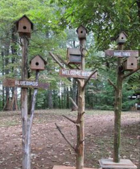 Amish Bird Houses, Picket Fence Bird Houses, Bird Houses On Trees, Rustic Bird Feeders Diy, Natural Bird Houses, Farm And Folk, Rustic Bird Houses, Diy Bird Houses, Gardening Flowers Ideas