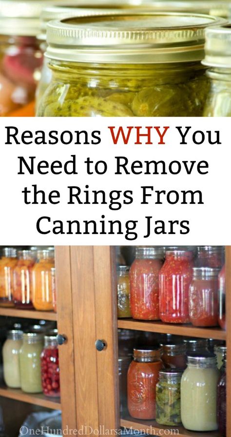 Storing Canning Jars Ideas, Canning Ring Storage, Canning Storage Ideas, Canning Storage, Canning Jar Storage, Different Types Of Food, Pressure Canning Recipes, Canning Kitchen, Canning 101