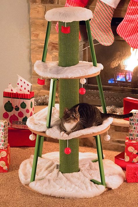 Get Your Cat to Stop Climbing Your Christmas Tree With These 20 Alternatives Cat Proof Christmas Tree, Cat Scratcher Tree, Large Cat Tree, Cat Proofing, Cat Christmas Tree, Alternative Christmas Tree, Black Christmas Trees, Cat Holidays, Christmas Tree Ideas