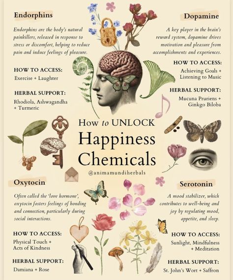 Happiness Chemicals, Mood Stabilizer, Ayurveda Life, Herbs Garden, Medical Herbs, Magic Herbs, Energy Healing Spirituality, Herbal Healing, Herbal Magic