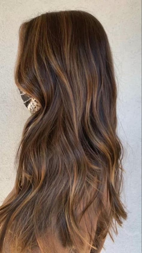 Light Brown Hair Styles, Brown Hair Styles, Light Brunette Hair, Rambut Brunette, Honey Brown Hair, Brown Hair Looks, Brown Hair Inspo, Brunette Hair With Highlights, Brunette Balayage Hair