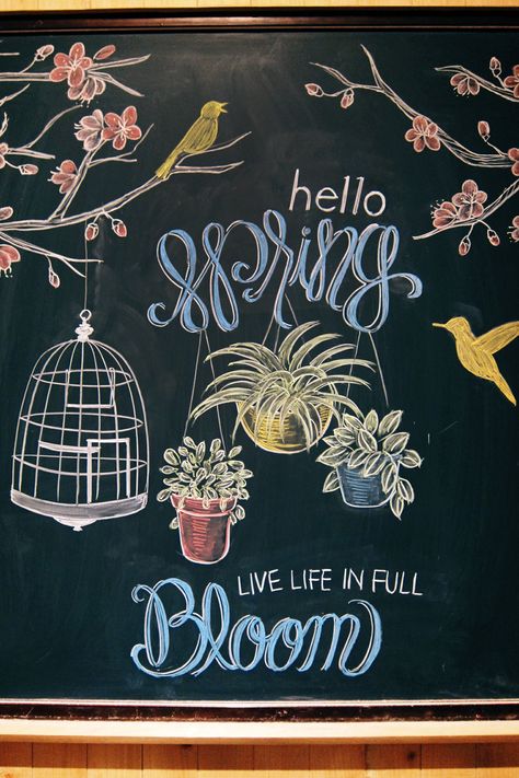 Blackboard Drawing Ideas, Black Board Drawing Ideas, Board Drawing Chalk, Spring Blackboard Ideas, Starbucks Spring Chalkboard, Blackboard Art Ideas, Chalk Art Coffee, Easter Chalkboard Art, Birthday Chalkboard Art