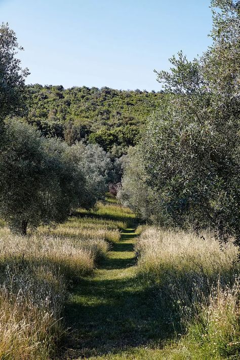 Provence Garden, Woodland Cottage, Wild Flower Meadow, Young House, Olive Grove, Piscina Natural, Garden Grove, The Cloisters, Mediterranean Garden