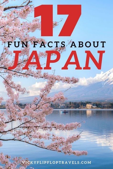 17 Fun Facts About Japan to Know Before You Go | VickyFlipFlopTravels Facts About Japan, Japan Facts, Learn Japan, Travel Wisdom, Eerie Places, Creative Pregnancy Announcement, About Japan, Memoirs Of A Geisha, Travel Facts