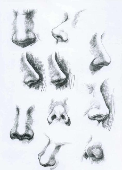 10 Amazing Nose Drawing Tutorials & Ideas - Brighter Craft Realistic Nose Drawing, Different Noses, Nose Sketch, Drawing Portraits, Realistic Eye Drawing, Nose Drawing, 얼굴 그리기, Drawing Studies, 인물 드로잉