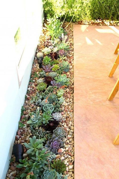 Succulent Garden Outdoor, Succulent Garden Landscape, Cool Tricks, Succulent Landscape Design, Succulent Garden Design, Succulent Landscaping, Rock Garden Landscaping, Garden Pond, Front Yard Garden