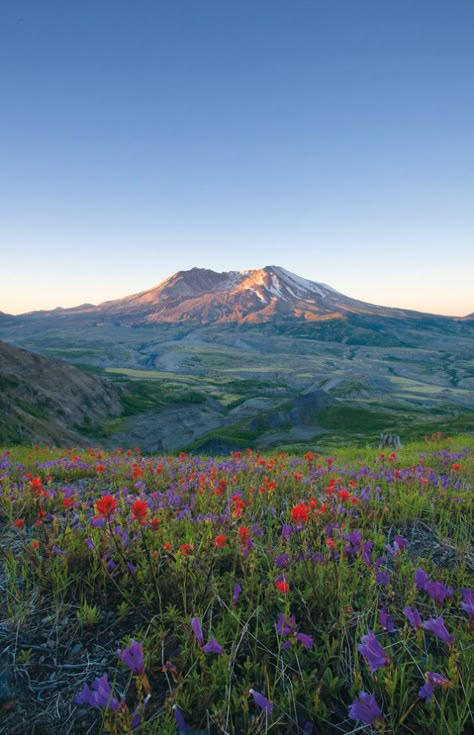 St Helens Oregon, Pnw Trip, Outing Ideas, Mt St Helens, Mount St Helens, Saint Helens, West East, St Helens, Pretty Places