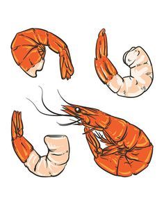 Seafood Illustration, Cocktail Drawing, Cocktails Drawing, Seafood Art, Seafood Cocktail, 귀여운 음식 그림, Illustration Tutorial, Drawing Clipart, Cooking Salmon