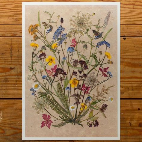 Meadow and Thyme | Sarah Holland | Pressed Flower Artist (@meadowandthyme) • Instagram photos and videos Calm Color Palette, Pressed Flower Crafts, Flower Artists, Print Greeting Cards, Botanical Artwork, Pressed Flower Art, Flower Artwork, Flower Prints Art, Pressed Flower