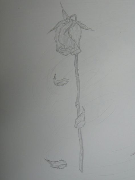 Dead rose Wilting Flowers Drawing Easy, Withered Rose Drawing, Dead Rose Drawing, Rose Flower Sketch, Clown Tattoos, Dead Rose, Broken Rose, Clown Tattoo, Rose Illustration