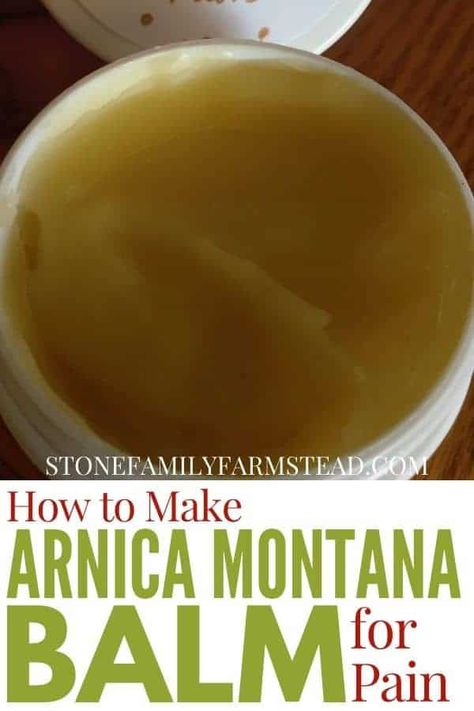 Dried Arnica Flower Uses, Arnica Flower Uses, Arnica Montana Benefits, Diy Arnica Salve, Arnica Salve Recipe, Arnica Benefits, Herb Flowers, Herbal Salve Recipes, Arnica Salve