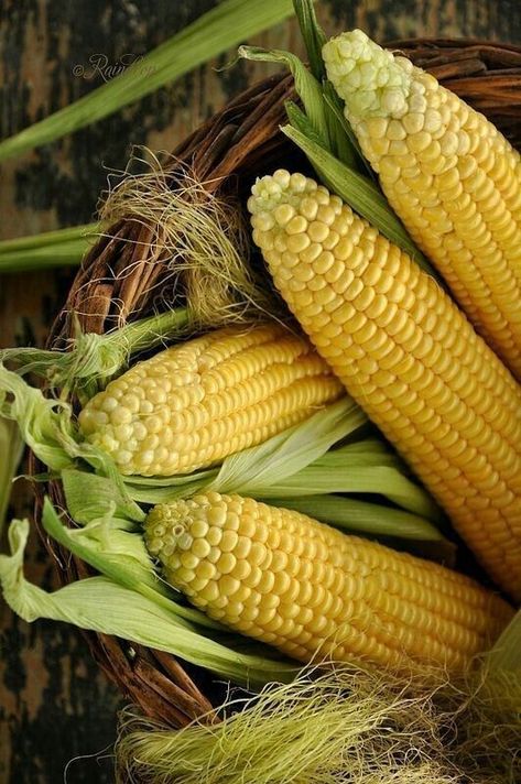 Vegetables Photography, Foods To Try, Dried Corn, Yellow Corn, Street Foods, Fruit Photography, Beautiful Fruits, Corn On The Cob, Corn On Cob