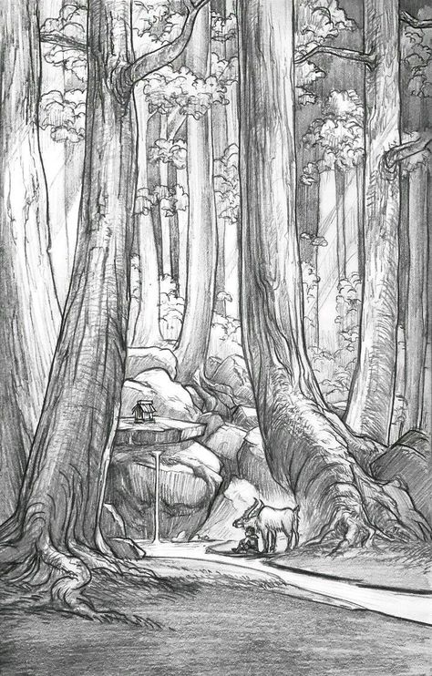 Fantasy Forest Sketch, Ashitaka And Yakul, Princess Mononoke Ashitaka, Manga Forest, Butterfly Movie, Environment Landscape, Jungle Drawing, Forest Sketch, Forest Drawing