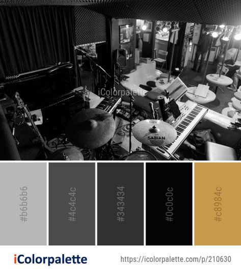 Music Colour Palette, Rock Music Color Palette, Rock And Roll Color Palette, Music Color Palette, Brand Identity Colors, Palette Challenge, Website Color Palette, Color Palette Ideas, Brand Aesthetic