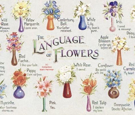 Flower Language, Wild Iris, The Language Of Flowers, Flower Meanings, Victorian Flowers, Language Of Flowers, Red Tulips, Cactus Y Suculentas, Types Of Flowers