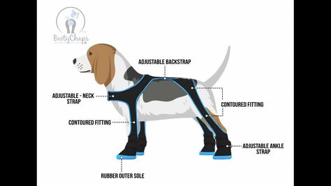 BootyChaps Dog Boots: The all-in-one dog boot harness system project video thumbnail Dog Boots Diy, Dog Paw Protection, Dog Snowsuit, Yorkie Clothes, Paracord Dog Leash, Dog Booties, Tallest Dog, Pet Coats, Dog Clothes Diy