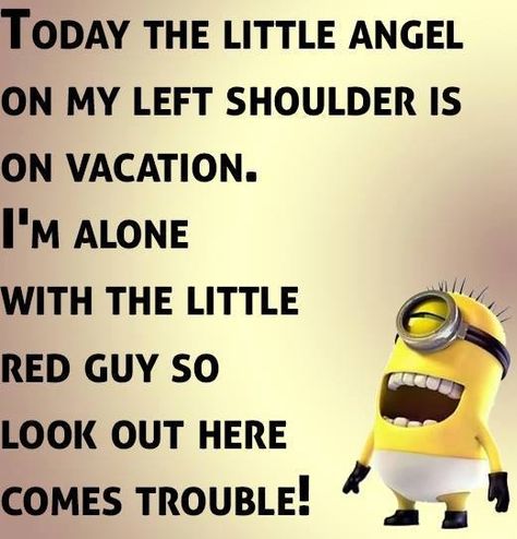 Minion Humor, Minions Fans, Minions Humor, Funny Minion Memes, Minion Pictures, Minion Jokes, Minions Love, Cute Minions, A Minion