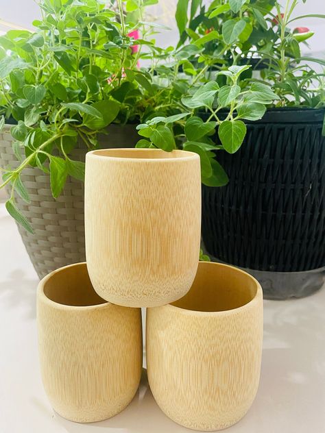 Bamboo cup (Three counts) Tropical Cups, Beer Dessert, Bamboo Containers, Bamboo Diy, Dessert Ice Cream, Coconut Bowls, Palm Leaf Plates, Bamboo Cups, Bamboo Utensils