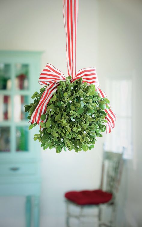 Mistletoe Kissing Ball Christmas Ceiling Decorations Ideas, Christmas Ceiling Decorations, Candy Centerpiece, Valentine Door Decorations, Red Gold Christmas, Kissing Ball, Gift Ribbon, Christmas Greenery, Christmas Lanterns